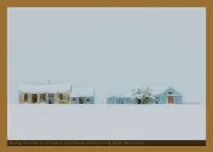 Maniototo Spring Snowfall