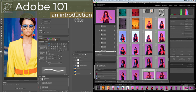 Learn how to import photos in to Lightroom and edit them in Photoshop