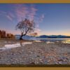 2024 Southern Gold A3 Fine Art Photo Calendar 2nd Printing - Image 4