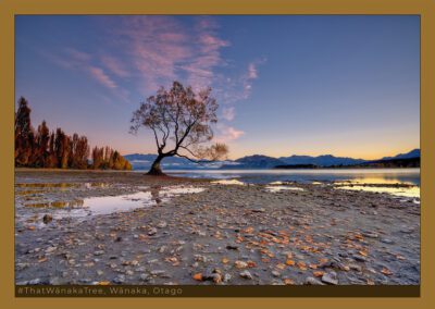 2024 Southern Gold A3 Fine Art Photo Calendar 2nd Printing - Image 4